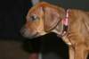 img_7675_small.jpg