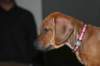 img_7676_small.jpg