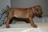 img_7678_small.jpg