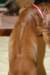 img_7686_small.jpg