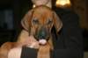 img_7715_small.jpg