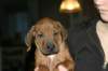 img_7718_small.jpg