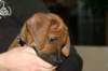 img_7746_small.jpg