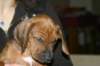 img_7748_small.jpg