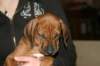 img_7750_small.jpg
