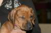 img_7754_small.jpg