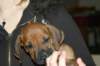 img_7759_small.jpg