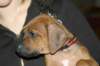 img_7763_small.jpg