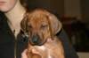 img_7765_small.jpg