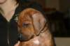 img_7770_small.jpg
