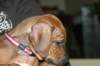 img_7773_small.jpg