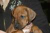 img_7776_small.jpg