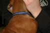 img_7779_small.jpg
