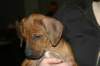 img_7781_small.jpg