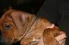 img_7785_small.jpg