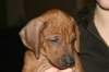 img_7804_small.jpg