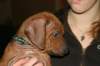 img_7805_small.jpg