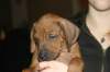 img_7807_small.jpg