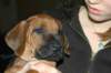 img_7816_small.jpg