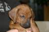 img_7823_small.jpg