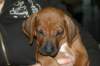 img_7825_small.jpg