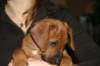 img_7830_small.jpg