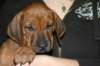 img_7844_small.jpg
