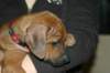 img_7849_small.jpg
