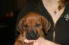 img_7852_small.jpg