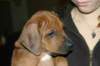 img_7863_small.jpg