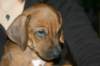 img_7865_small.jpg
