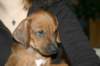 img_7866_small.jpg