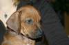 img_7867_small.jpg