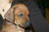 img_7868_small.jpg
