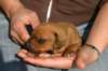img_7974_small.jpg