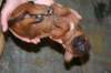 img_7990_small.jpg