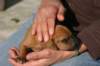 img_8006_small.jpg