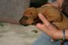 img_8007_small.jpg