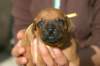 img_8011_small.jpg