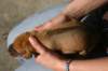 img_8015_small.jpg