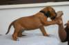 img_8237_small.jpg