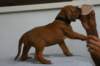 img_8238_small.jpg