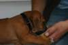 img_8243_small.jpg