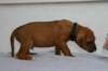 img_8246_small.jpg