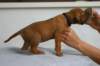 img_8247_small.jpg