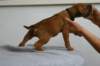 img_8248_small.jpg