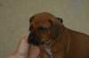 img_8251_small.jpg