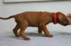 img_8259_small.jpg