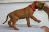 img_8262_small.jpg