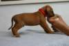 img_8264_small.jpg